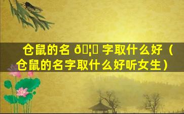 仓鼠的名 🦁 字取什么好（仓鼠的名字取什么好听女生）